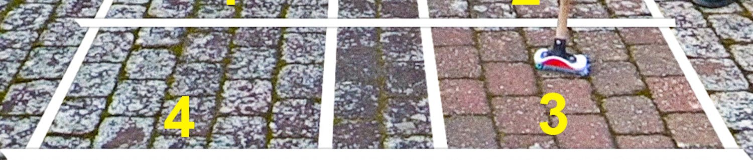 I krig mod flisepest